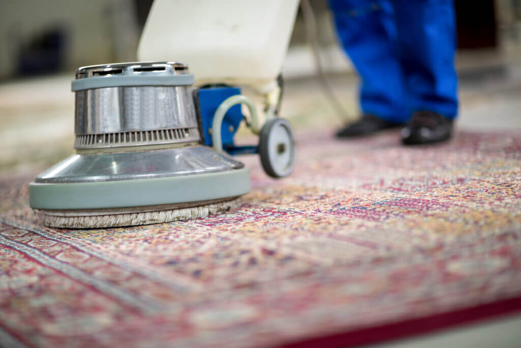 Should You Have Your Area Rugs Professionally Cleaned?