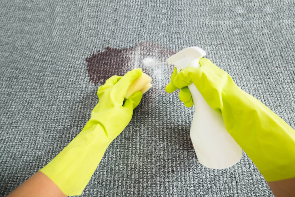 The Hidden Dangers of Mold in Carpets and How to Prevent It