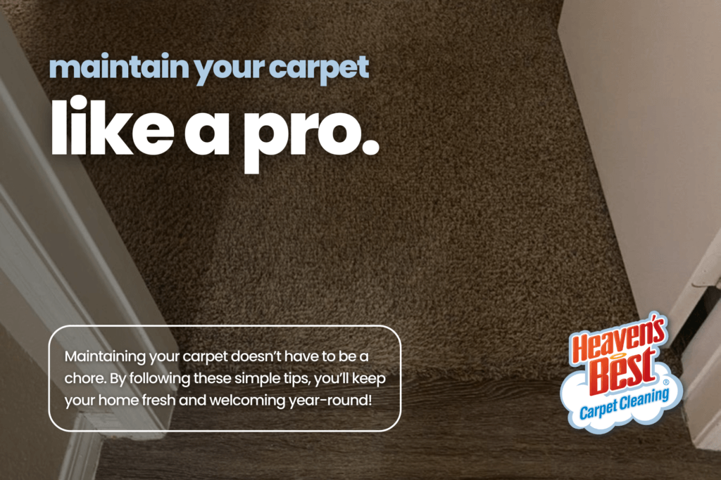 Top Tips for Maintaining Your Carpet Between Cleanings