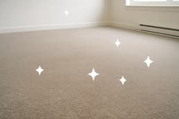 Carpet Image