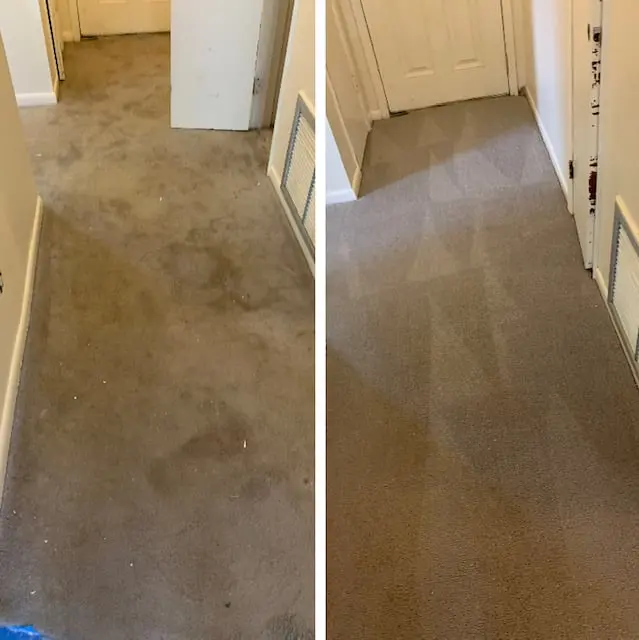 Carpet Cleaning Before & After